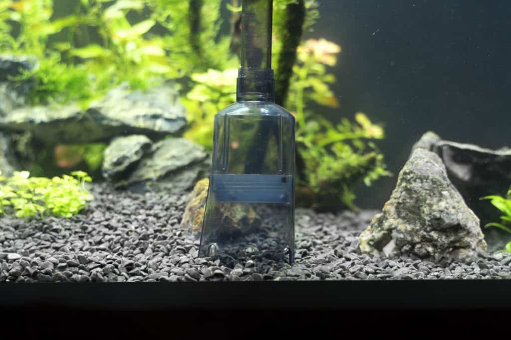 Close up of the business end of a gravel vacuum in use