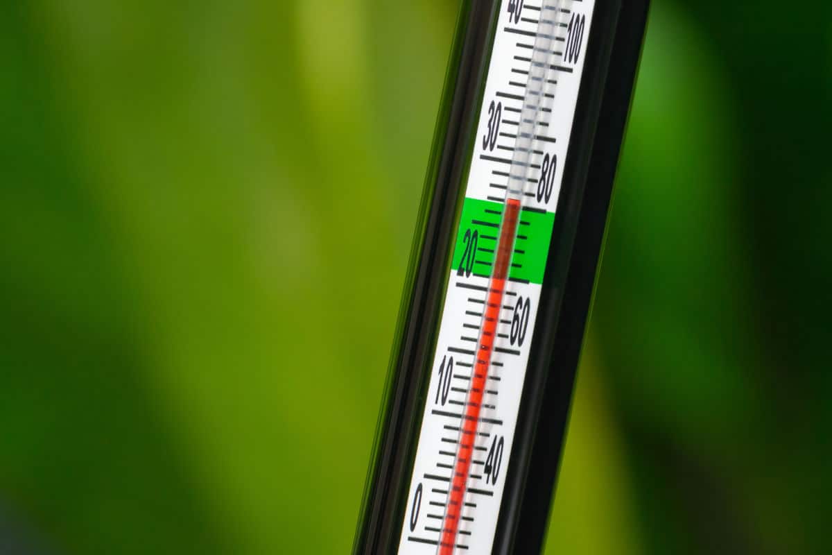 A mercury style aquarium thermometer with a green stripe for correct temp